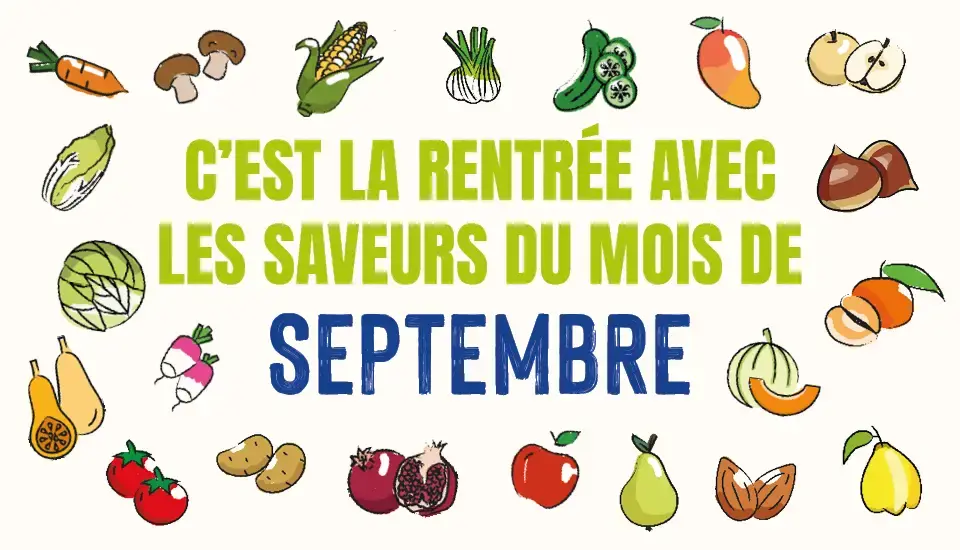 Calendrier de saisonnalité : C'est la rentrée avec les saveurs du mois de septembre